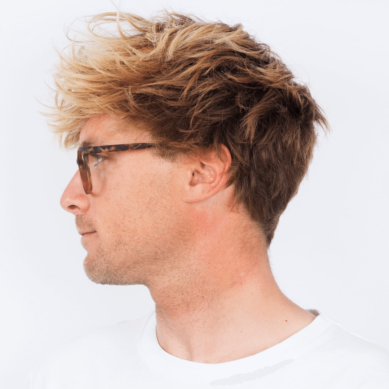 Dalston Hombre - Tortoise