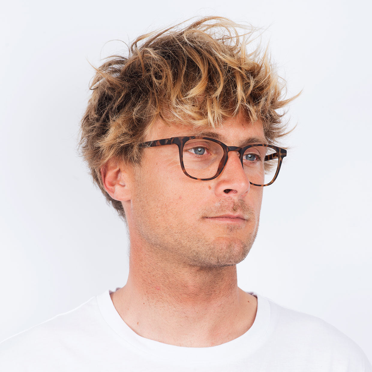 Dalston Hombre - Tortoise