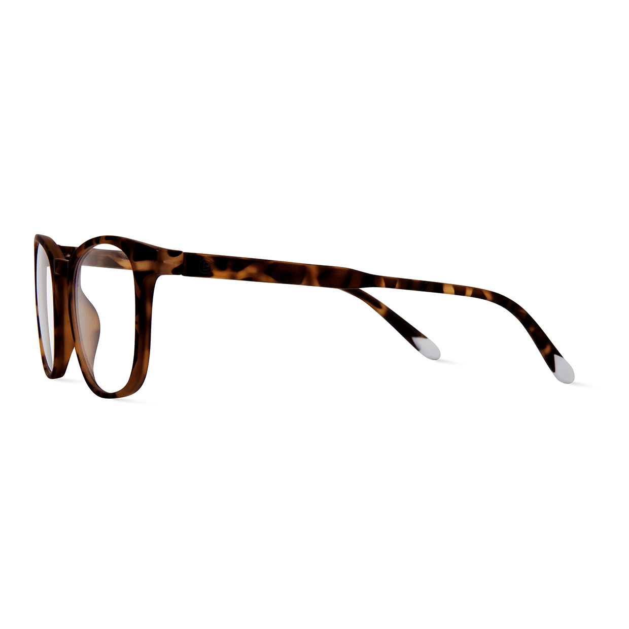 Dalston Hombre - Tortoise