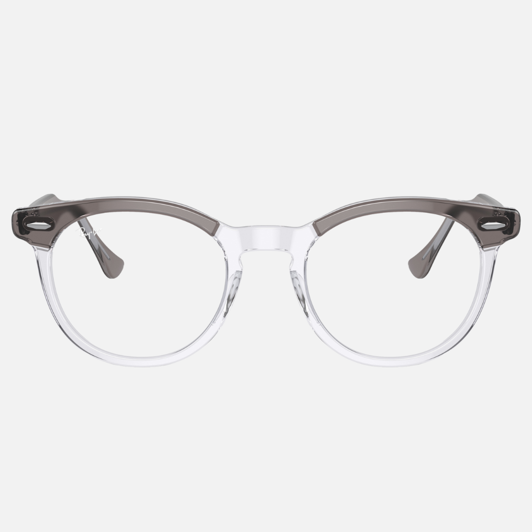 EAGLE EYE RB5598 - Gris