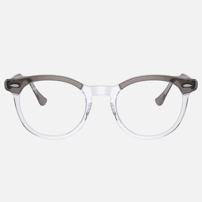 EAGLE EYE RB5598 - Gris