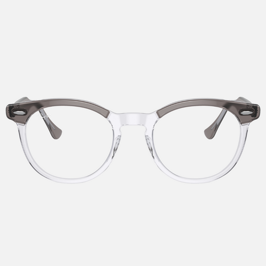EAGLE EYE RB5598 - Gris