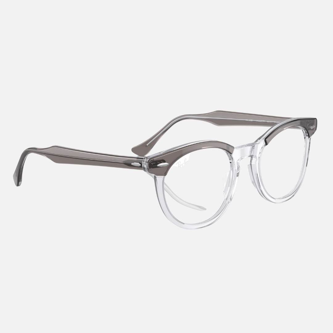 EAGLE EYE RB5598 - Gris