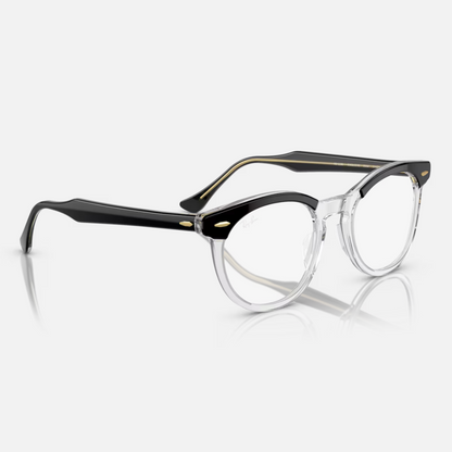 EAGLE EYE RB5598 - Negro