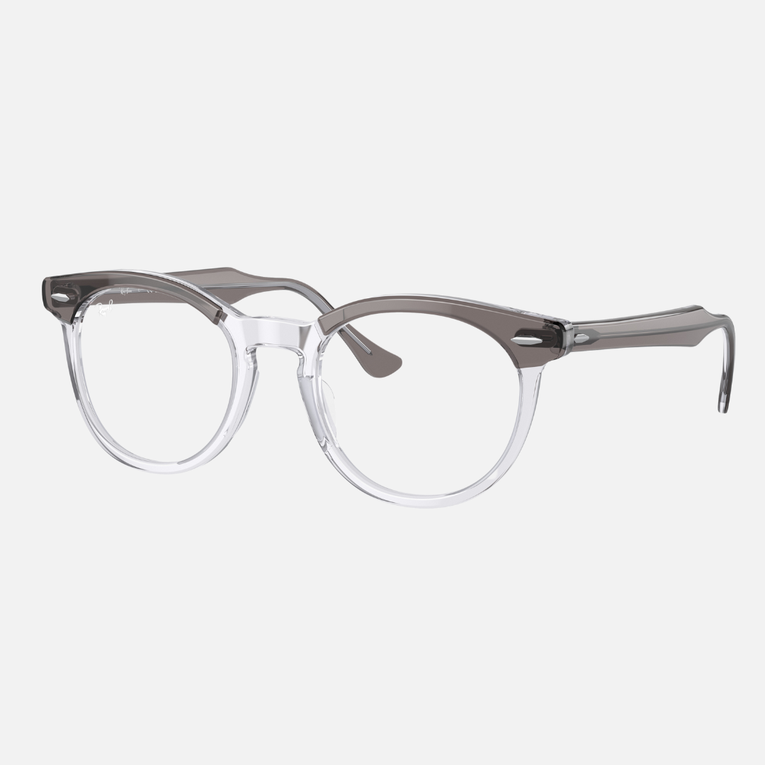 EAGLE EYE RB5598 - Gris
