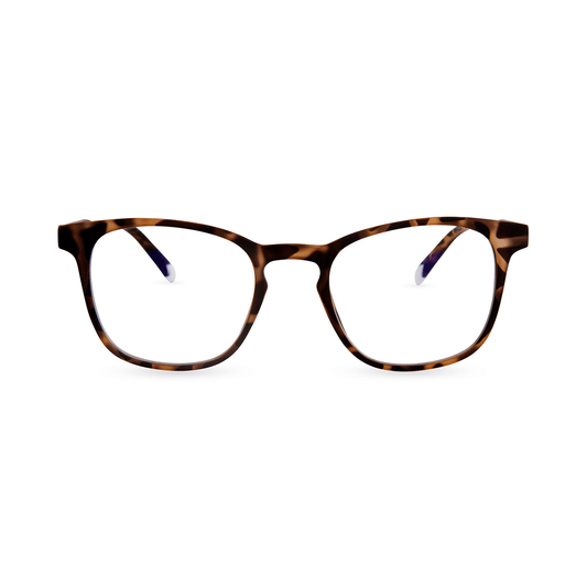 Dalston Hombre - Tortoise