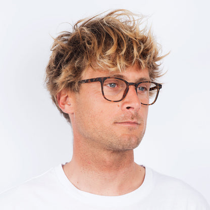 Dalston Hombre - Tortoise