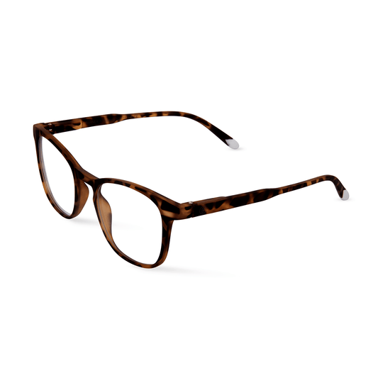 Dalston Hombre - Tortoise