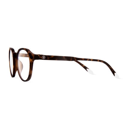 Le Marais Hombre - Tortoise